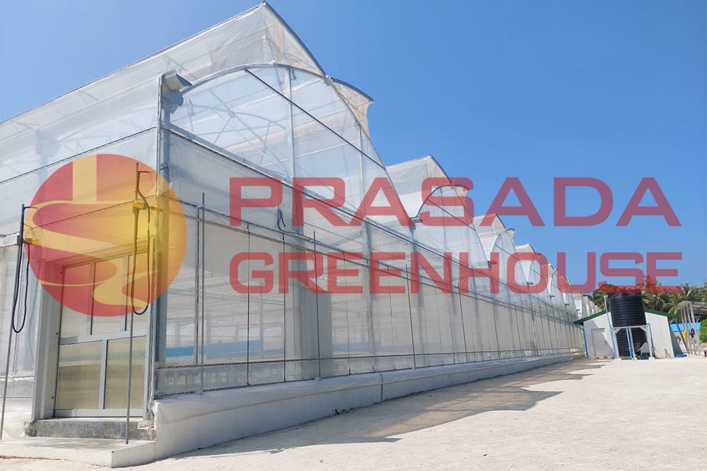 Θερμοκήπιο ταινιών τύπου ΕΕ για νησιά Ειρηνικού και Ινδικού Ωκεανού - Ιδανική λύση για κλίματα υψηλών θερμοκρασιών και υψηλής υγρασίας